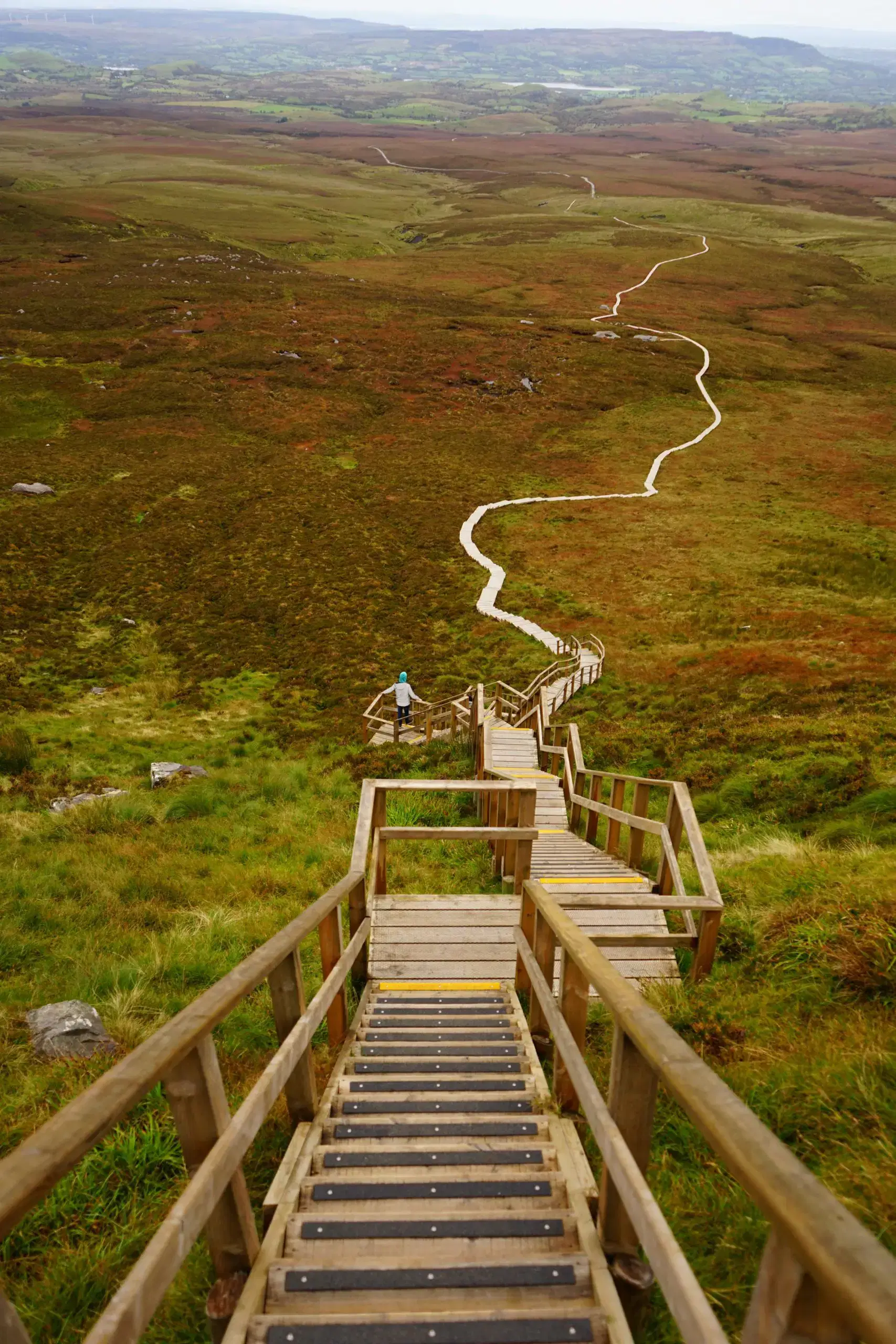 Winding wooden staircase in landscape