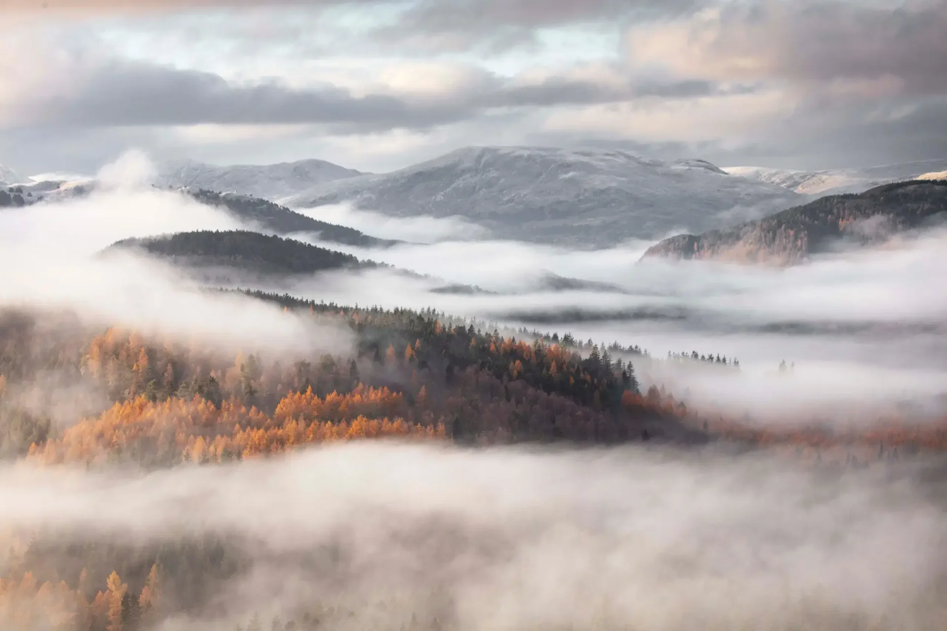 Mist-covered mountains and forests
